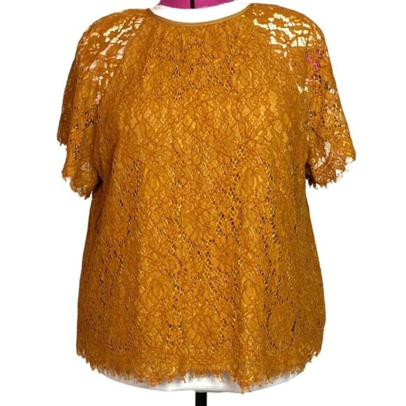 J. Crew XL Deep Mustard Yellow Lace Short-Sleeve XL Top For Women Elegant Design - Picture 1 of 6